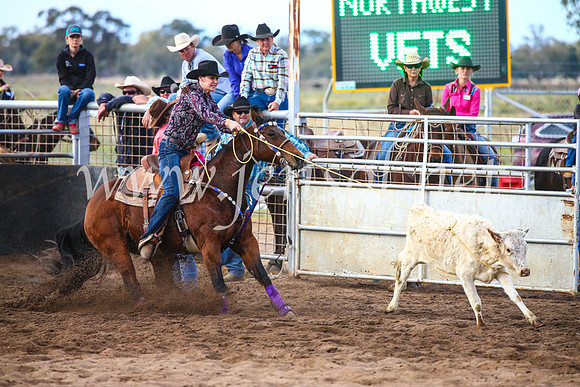 CoonambleRodeoCampdraftSun_2607
