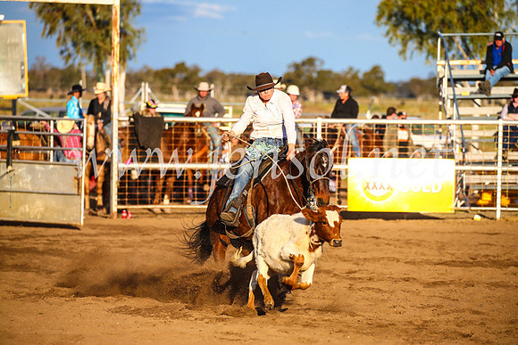 CoonambleRodeoCampdraftSun_4774