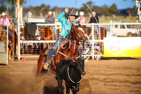 CoonambleRodeoCampdraftSun_4751