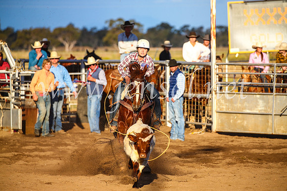 CoonambleRodeoCampdraftSun_4704
