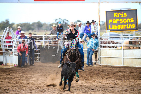 CoonambleRodeoCampdraftSun_2636
