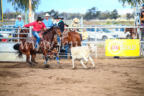 CoonambleRodeoCampdraftSun_4028