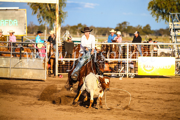 CoonambleRodeoCampdraftSun_4776