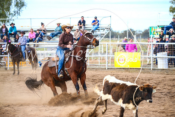 CoonambleRodeoCampdraftSun_2621