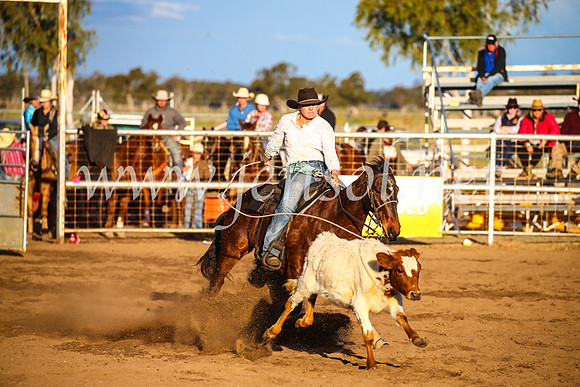 CoonambleRodeoCampdraftSun_4782