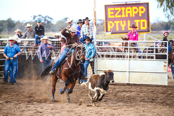 CoonambleRodeoCampdraftSun_2615