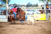 CoonambleRodeoCampdraftSun_4024