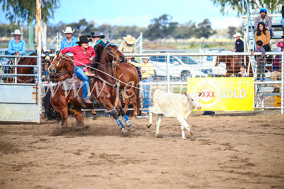 CoonambleRodeoCampdraftSun_4024