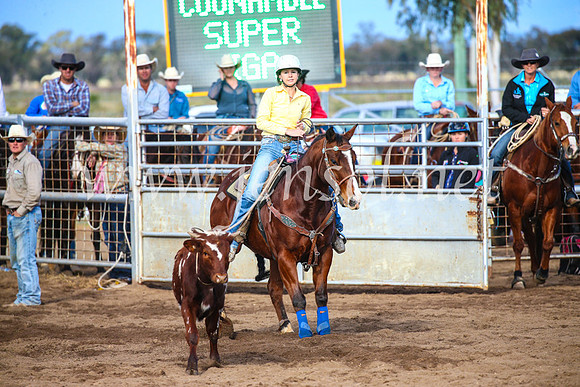 CoonambleRodeoCampdraftSun_4014