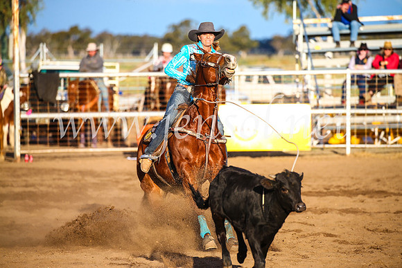 CoonambleRodeoCampdraftSun_4763