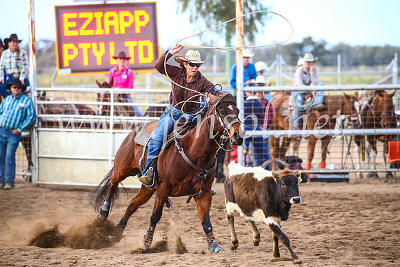 CoonambleRodeoCampdraftSun_2611