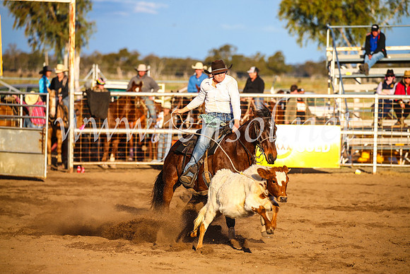 CoonambleRodeoCampdraftSun_4783