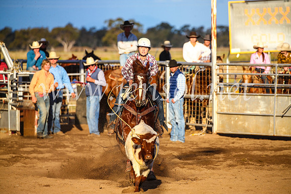 CoonambleRodeoCampdraftSun_4706
