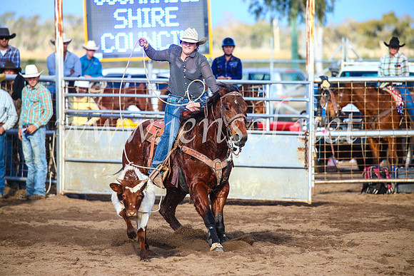 CoonambleRodeoCampdraftSun_4064