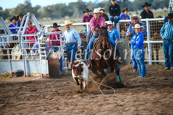 CoonambleRodeoCampdraftSun_2573