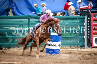 CoomaRodeo2017_2185