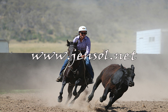 AdaminabyCampdraft2014_0911-1
