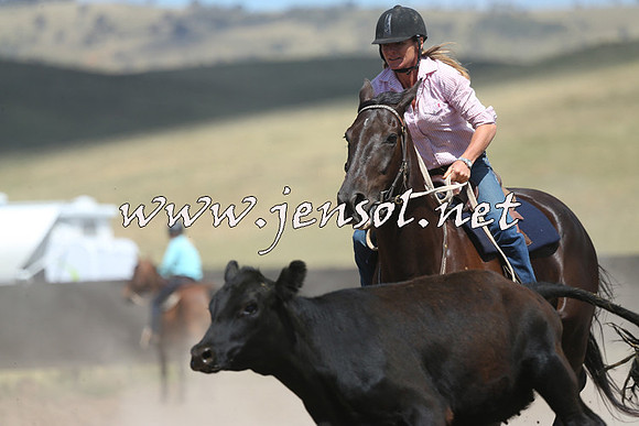 AdaminabyCampdraft2014_0889-1