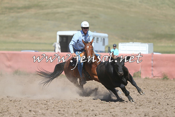 AdaminabyCampdraft2014_0937-1