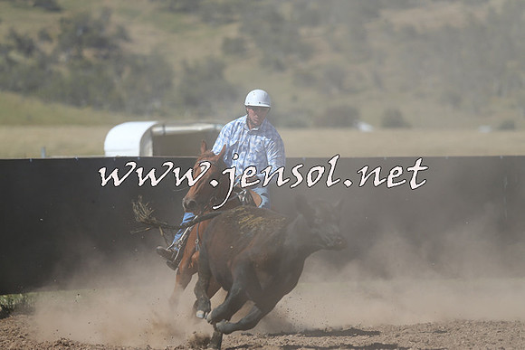 AdaminabyCampdraft2014_0944-1