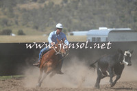 AdaminabyCampdraft2014_0920-1