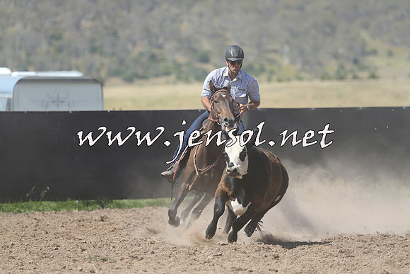 AdaminabyCampdraft2014_0926-1