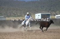 AdaminabyCampdraft2014_0899-1