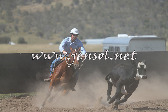 AdaminabyCampdraft2014_0918-1