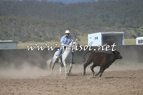 AdaminabyCampdraft2014_0902-1