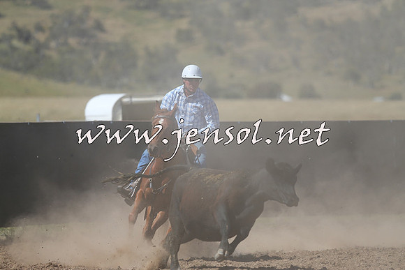 AdaminabyCampdraft2014_0943-1