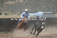 AdaminabyCampdraft2014_0917-1