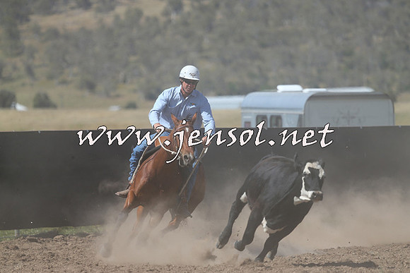 AdaminabyCampdraft2014_0917-1