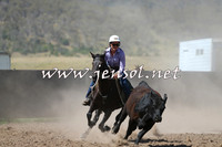 AdaminabyCampdraft2014_0913-1
