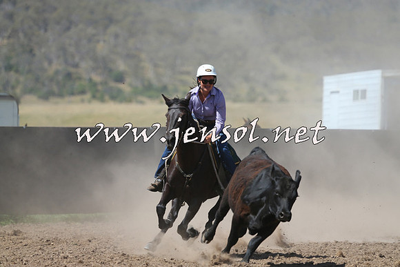 AdaminabyCampdraft2014_0913-1