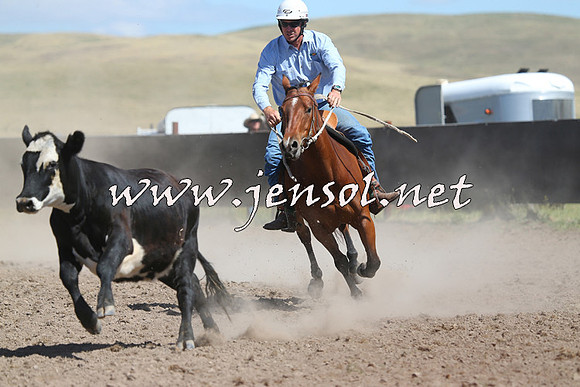 AdaminabyCampdraft2014_0919-1