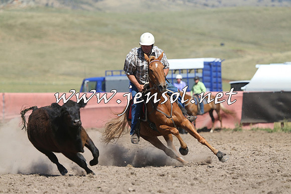 AdaminabyCampdraft2014_0973-1