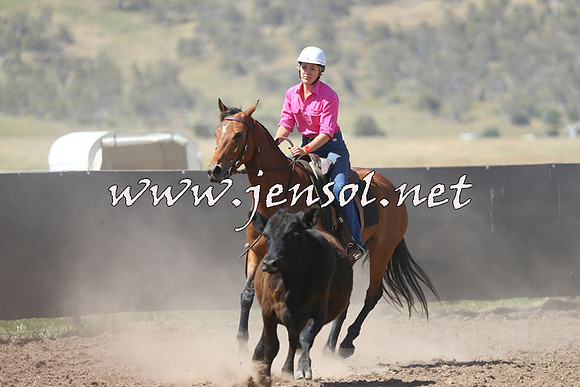AdaminabyCampdraft2014_0906-1