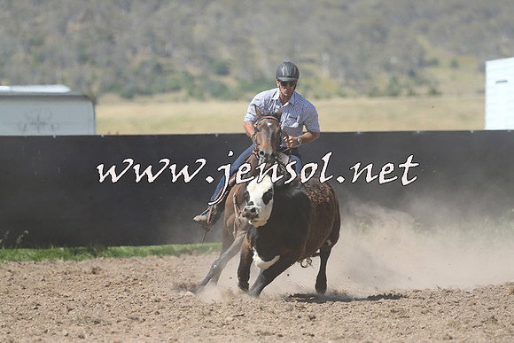AdaminabyCampdraft2014_0927-1
