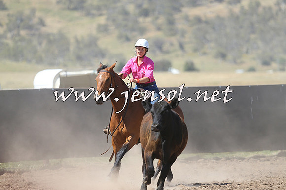AdaminabyCampdraft2014_0907-1