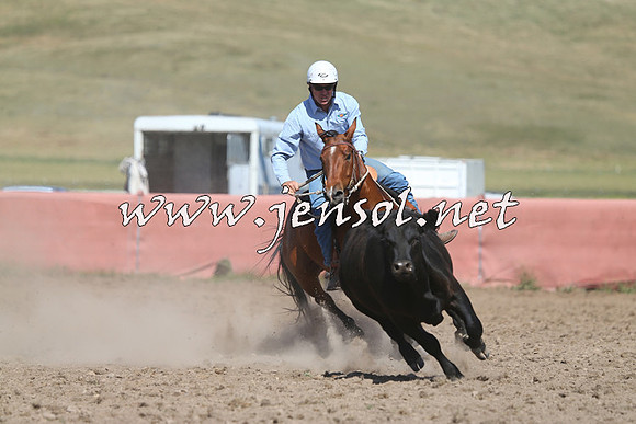 AdaminabyCampdraft2014_0939-1