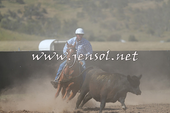 AdaminabyCampdraft2014_0945-1