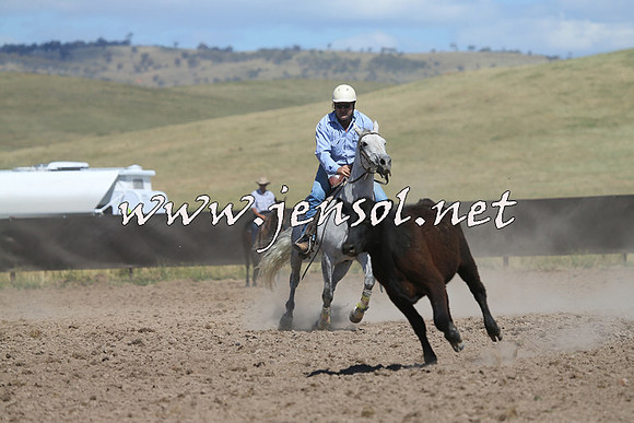 AdaminabyCampdraft2014_0905-1