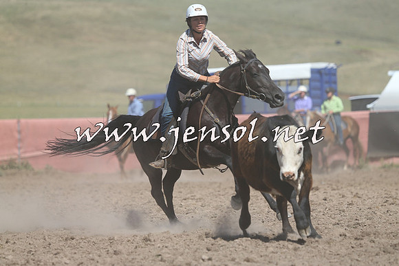 AdaminabyCampdraft2014_0949-1