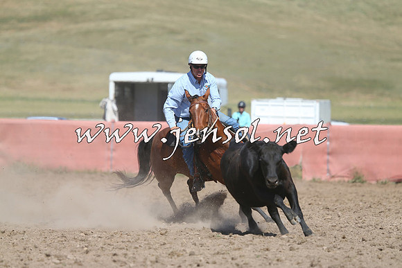 AdaminabyCampdraft2014_0936-1