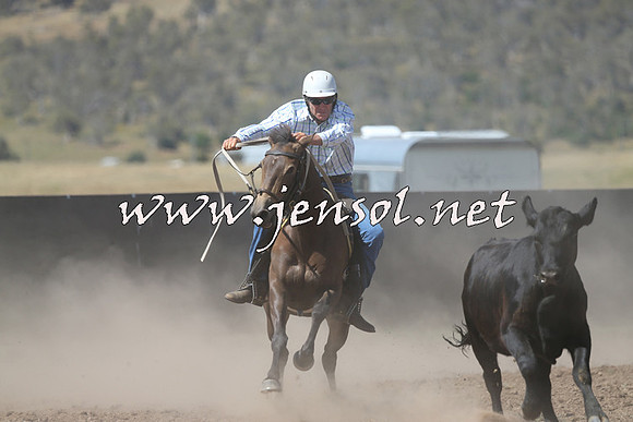 AdaminabyCampdraft2014_0934-1
