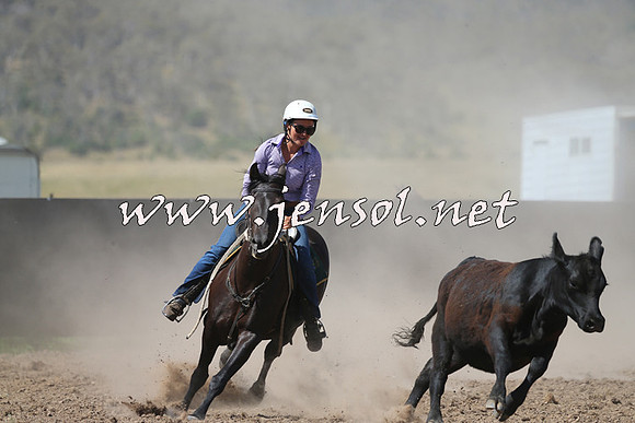 AdaminabyCampdraft2014_0914-1