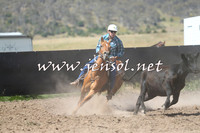 AdaminabyCampdraft2014_0887-1