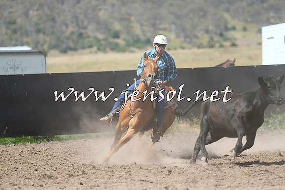 AdaminabyCampdraft2014_0887-1