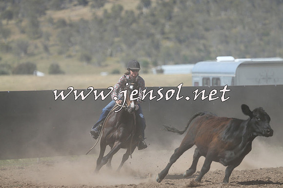 AdaminabyCampdraft2014_0928-1