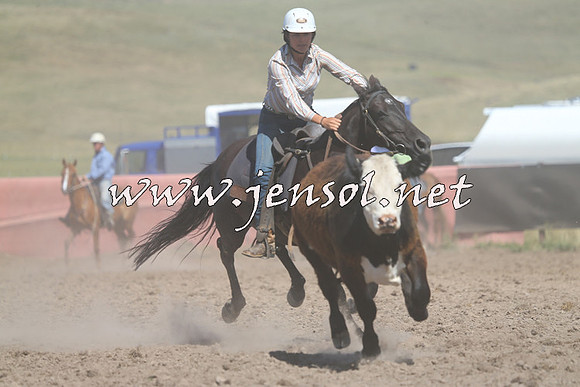AdaminabyCampdraft2014_0950-1